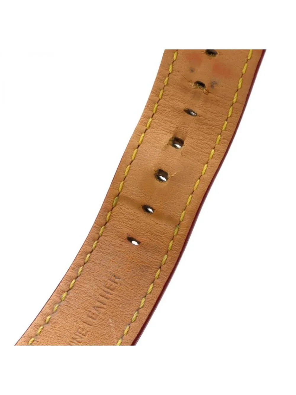 Louis Vuitton brand louis